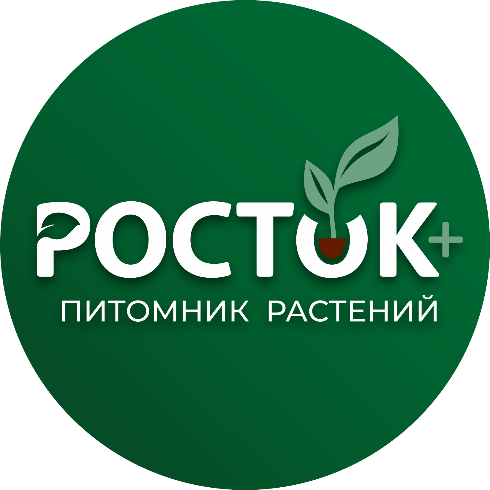 �������������, ������������ ���������