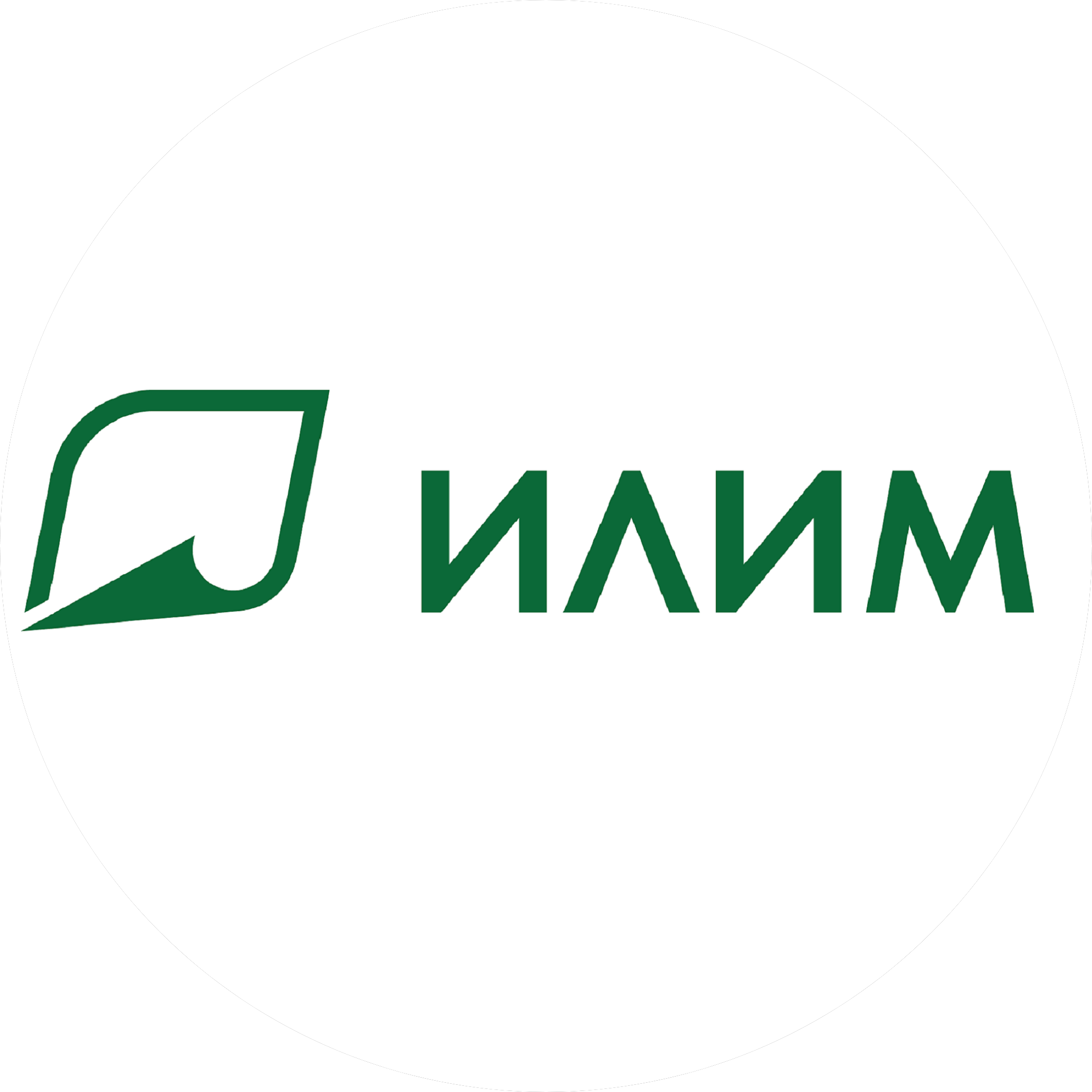 Группа Илим
