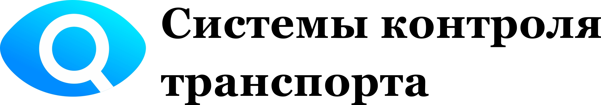 Производственная компания Системы контроля транспорта