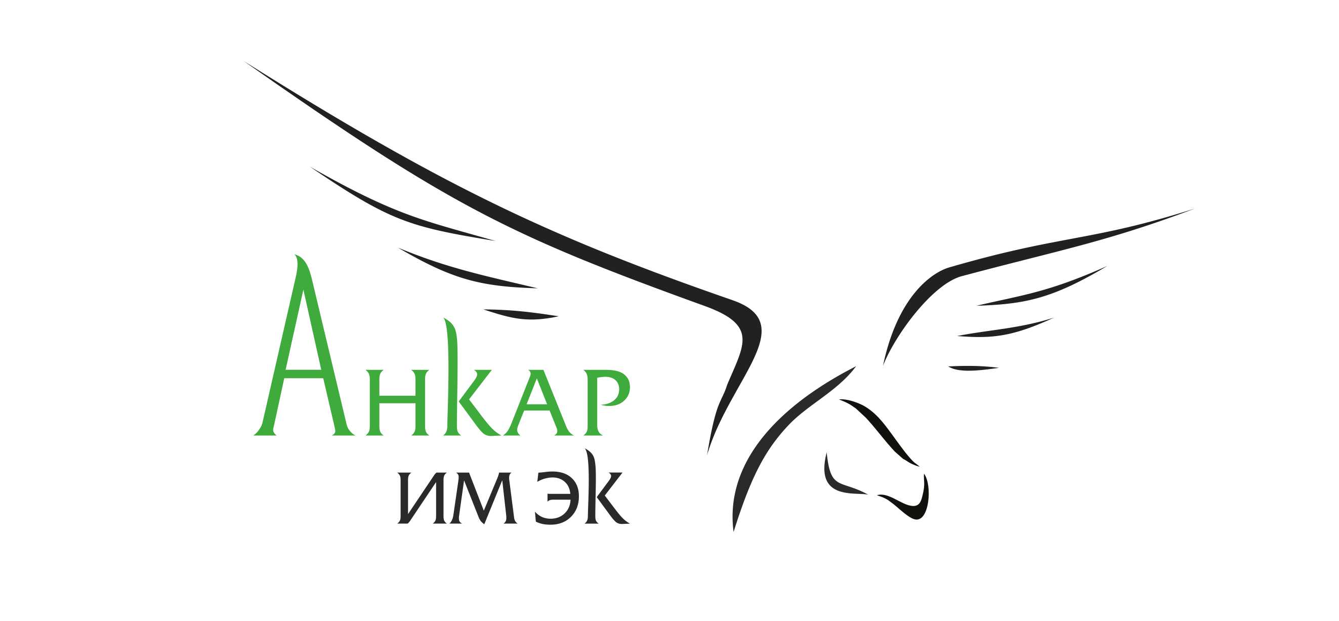 Ankar-IMEX