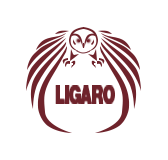 ЦПИ ДПО ЛИГАРО