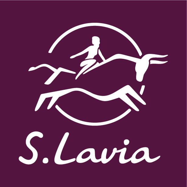 Vacancy icon