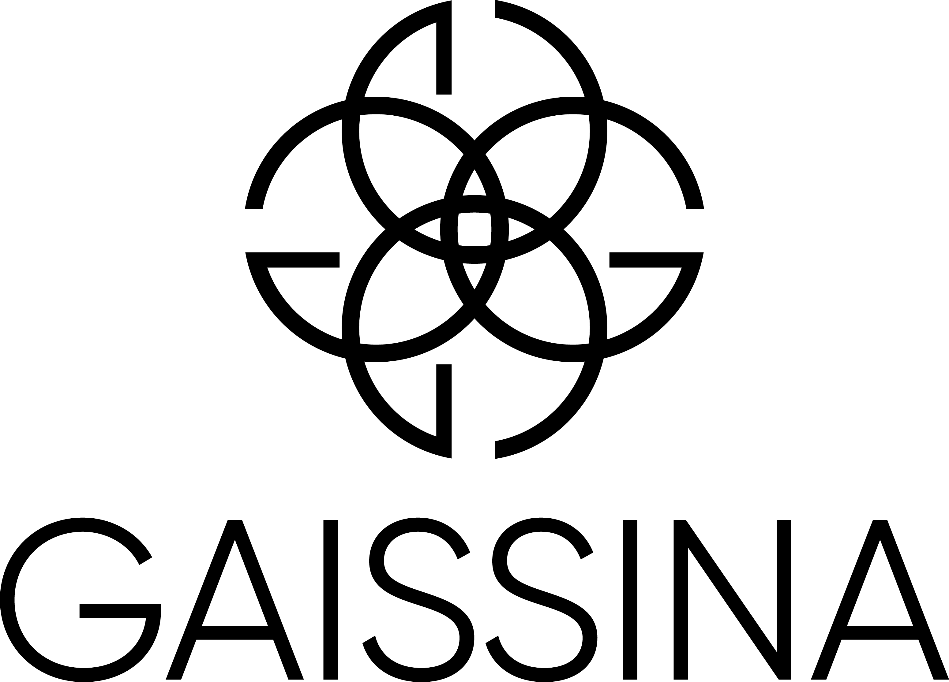 Сеть магазинов GAISSINA