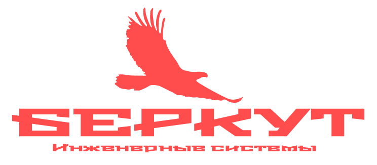 БЕРКУТ