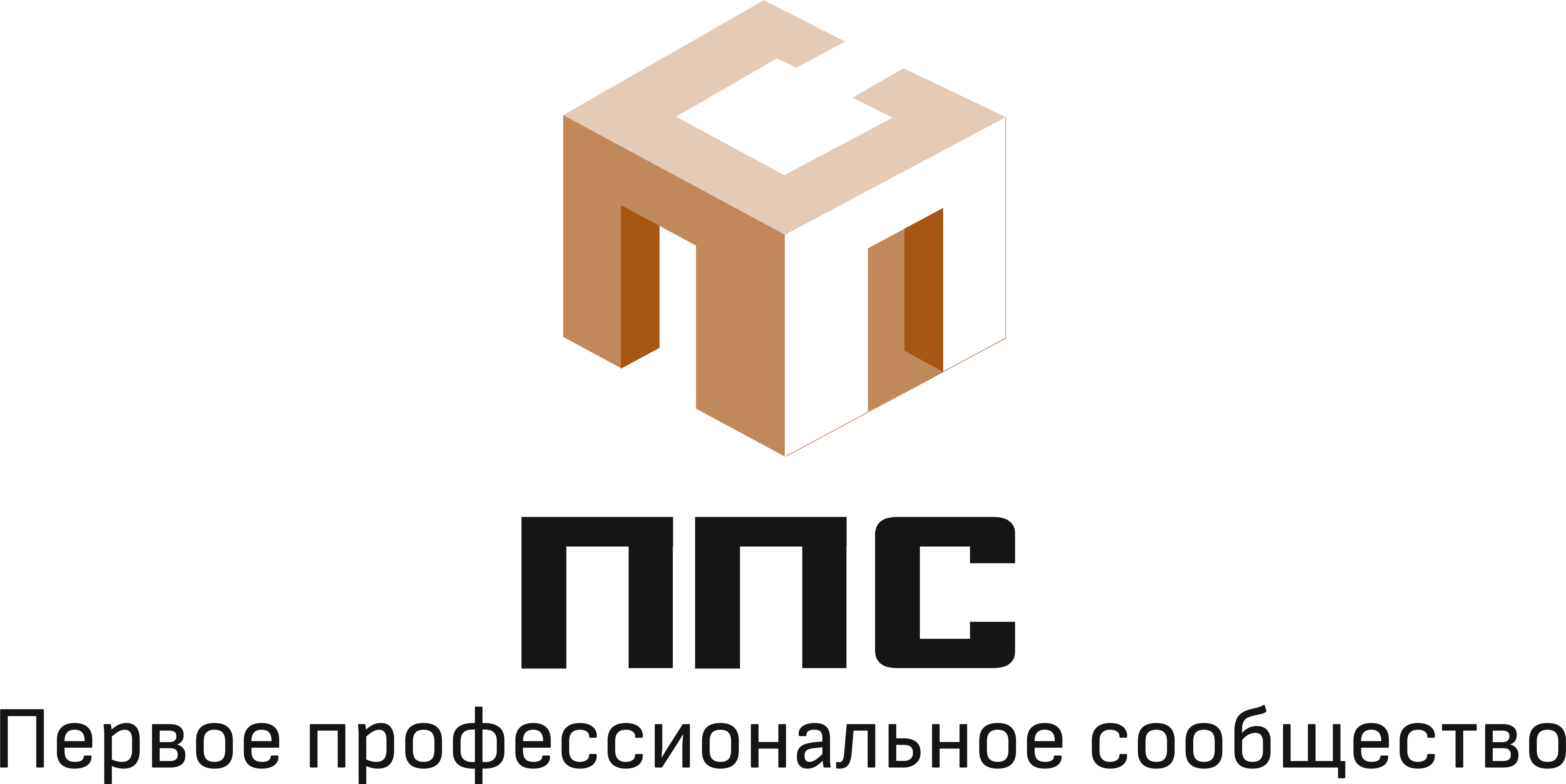 Первое Профессиональное Сообщество