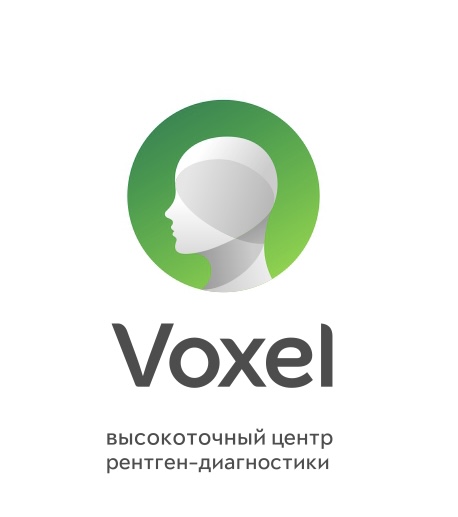 Voxel (ООО Аксиома-31)