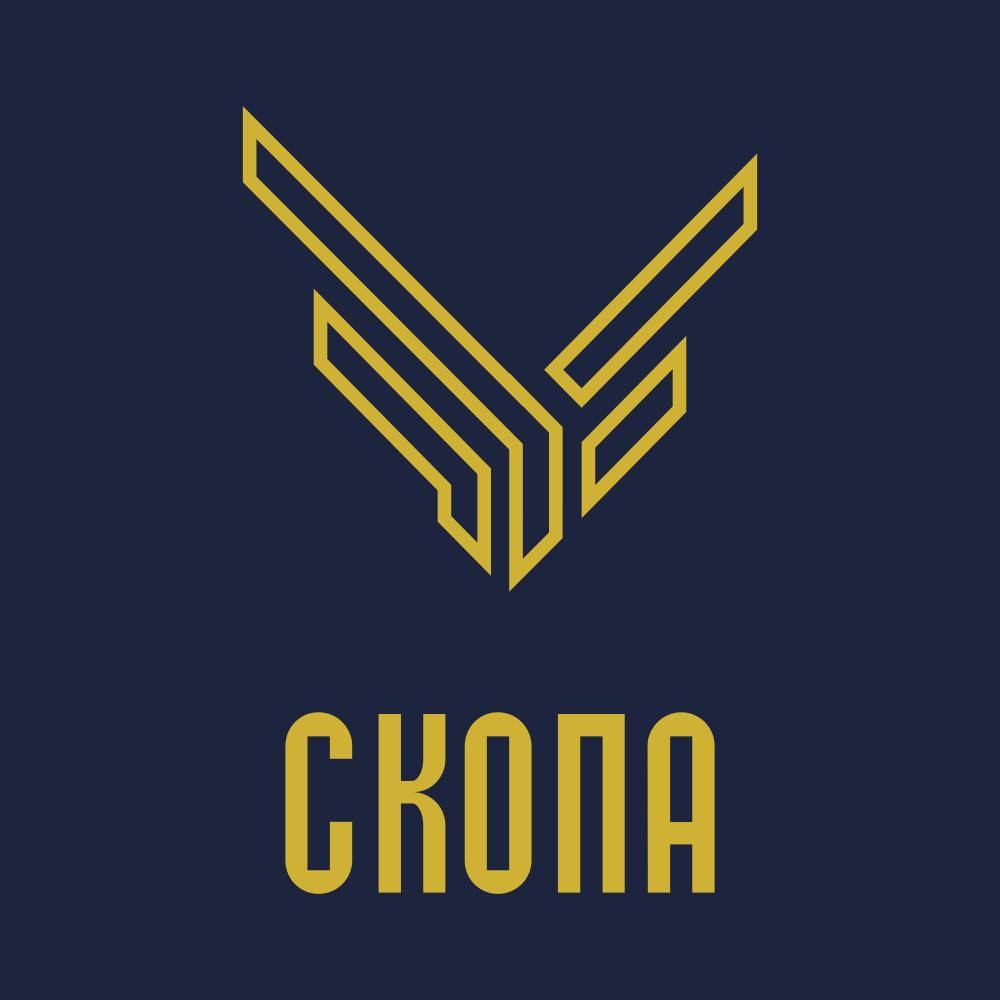 Скопа