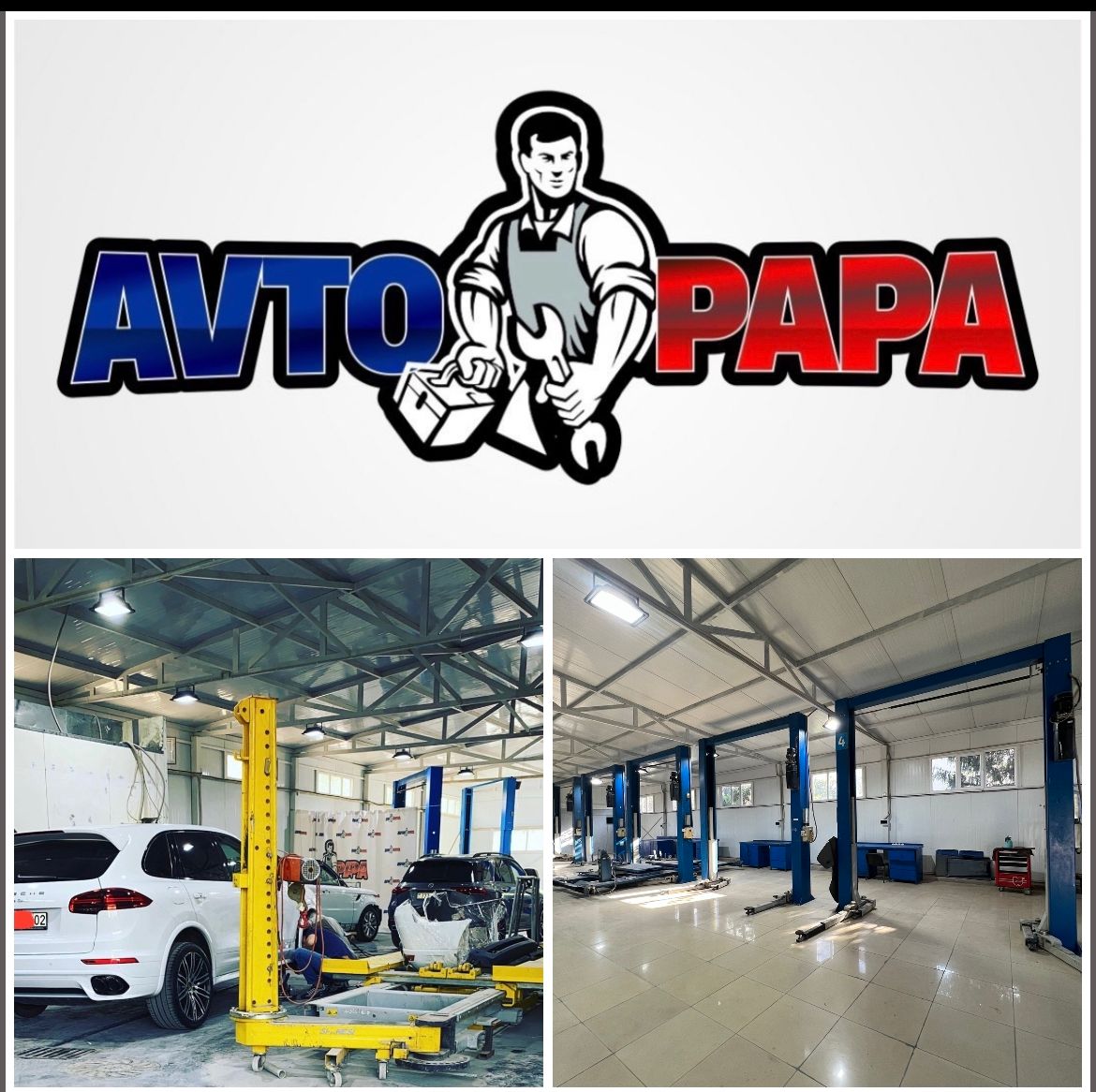 AVTO PAPA