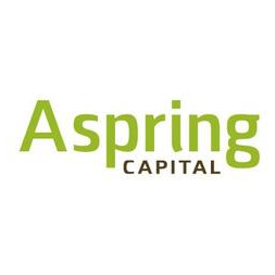 Эспринг Капитал