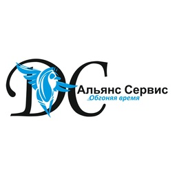 ДС альянс сервис