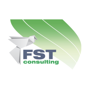 FST Consulting