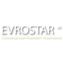 EVROSTAR CLEANING SERVICE