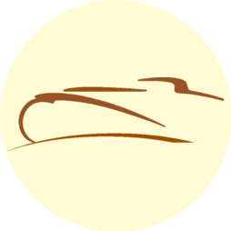 Такси Вокруг Света