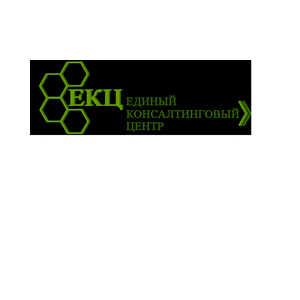 Единый консалтинговый центр