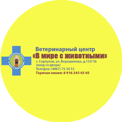 В мире с животными, Ветеринарный центр