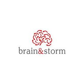 Brain & Storm Inc.