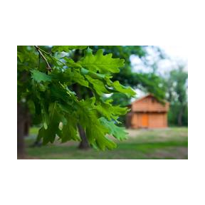 Турбаза Рублевка