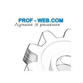 Prof-web