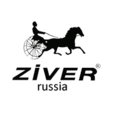 Ziver
