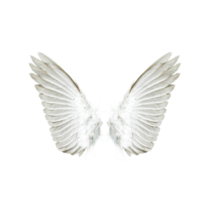 Angelclean (Ангел, ООО)