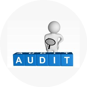 Аудиторско-консалтинговая фирма Профессиональное мнение