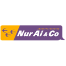 NurAi & Co