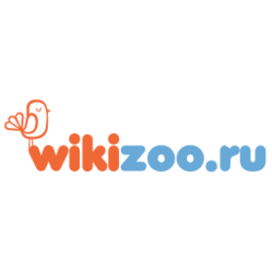 АйТек Групп