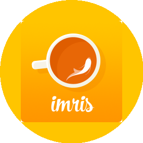 IMRIS Иностранные языки
