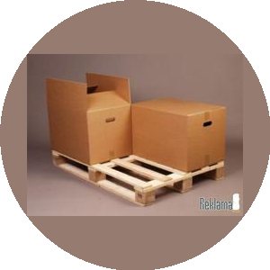 Кашин Алексей