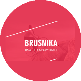 МА “BRUSNIKA”