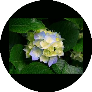 ИП Гимадиев Р.Н.