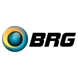 BUSINESS RELATIONSHIP GROUP