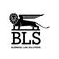 Юридическая компания BLS