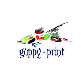 guppyprint, ИП