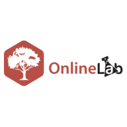 Сетевая Лаборатория