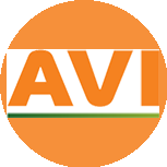 АВИ Консалт