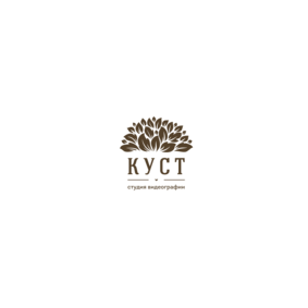 Студия видеографии КУСТ
