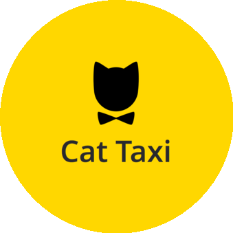 Cat Taxi