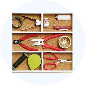 Цветы Африки