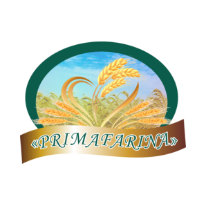 Нонсоло Групп