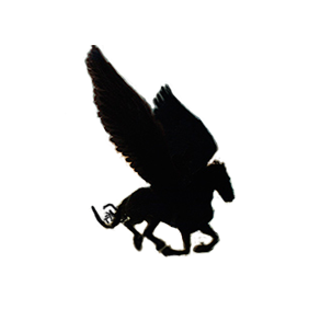 Транспортная компания ПЕГАС