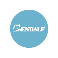 1С-ГЭНДАЛЬФ