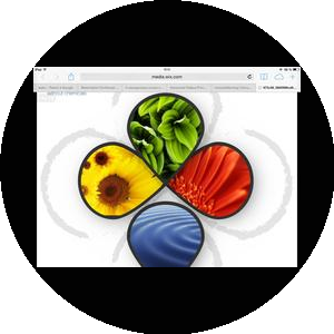 Минерал Эко