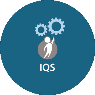 IQS, Умный контроль качества