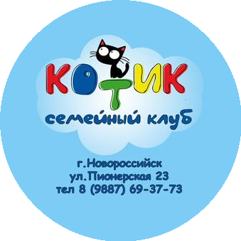 Комиссарова Д. А.