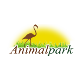 Матиевский Владимир Валерьянович