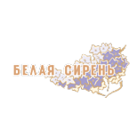 Белая Сирень
