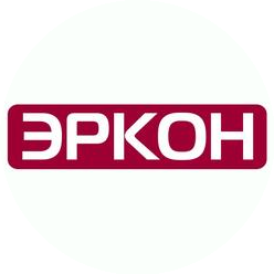 ЭРКОН,  Аудиторско-консалтинговая компания