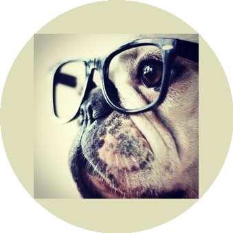 Магамедов К.Ю.