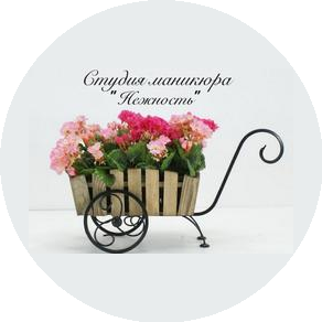 Студия маникюра Нежность